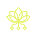 Pollinations.ai
